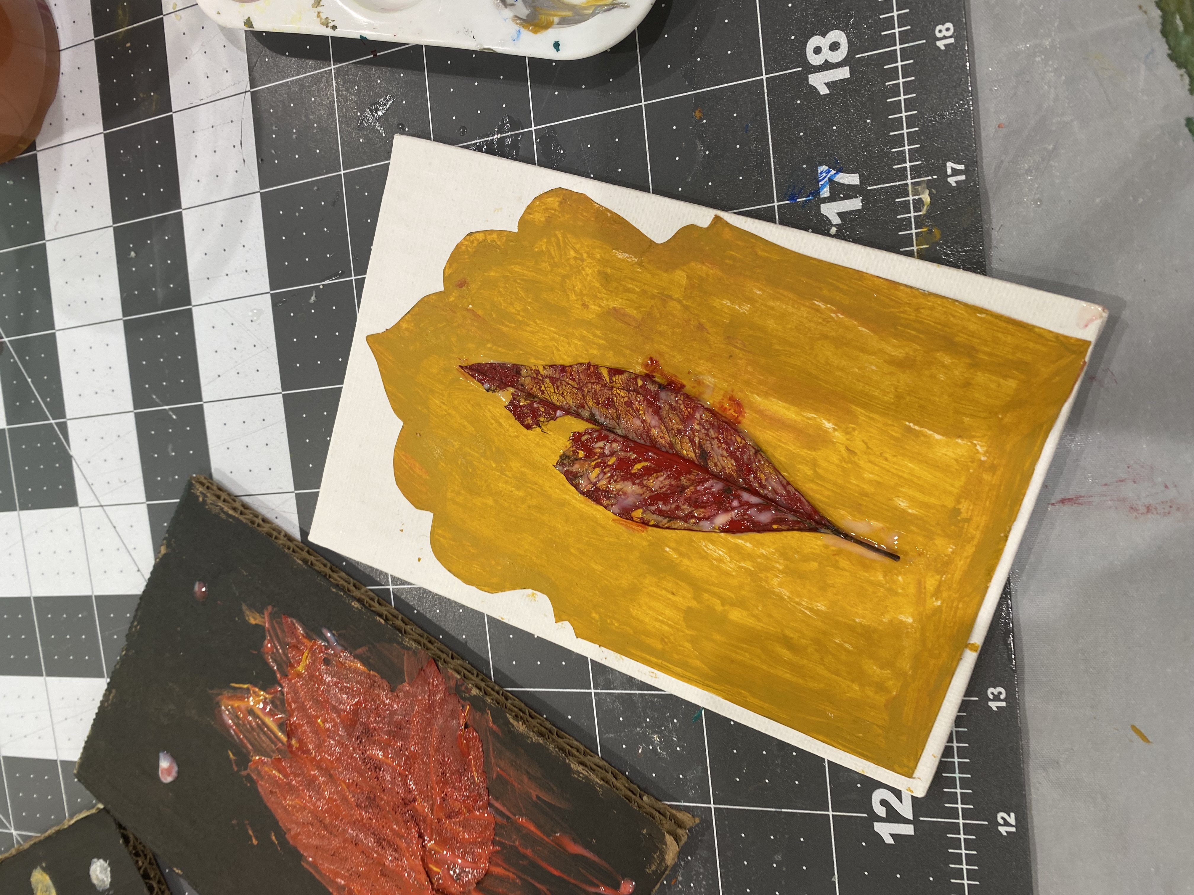 Experience the Magic